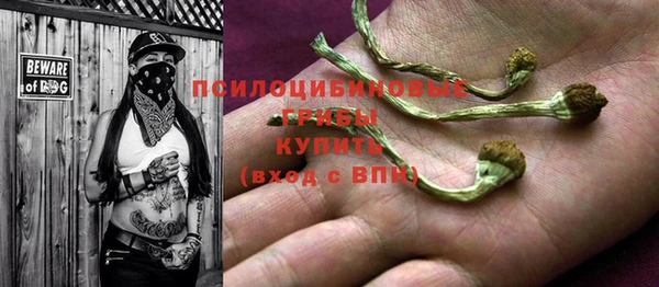 mdpv Баксан