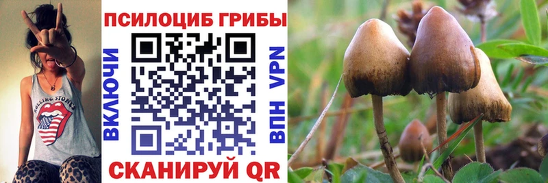 Галлюциногенные грибы GOLDEN TEACHER  где купить наркоту  Верхнеуральск 